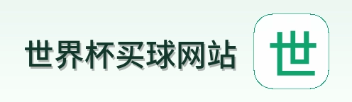  世界杯买球网站官方网站
